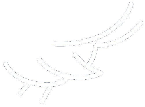 Magpie